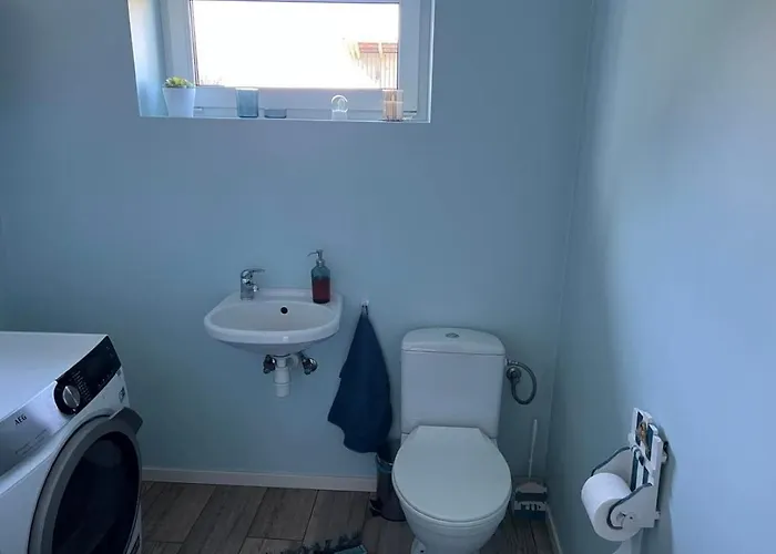 Orion Majutus Guest house 3*